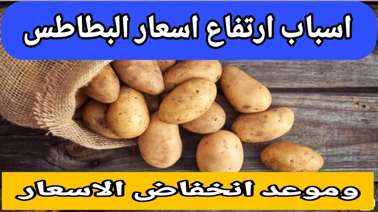 ارتفاع أسعار البطاطس اليوم السبت 29 نوفمبر 2025 في السوق.. سعر الخضار والفاكهة في سوق العبور